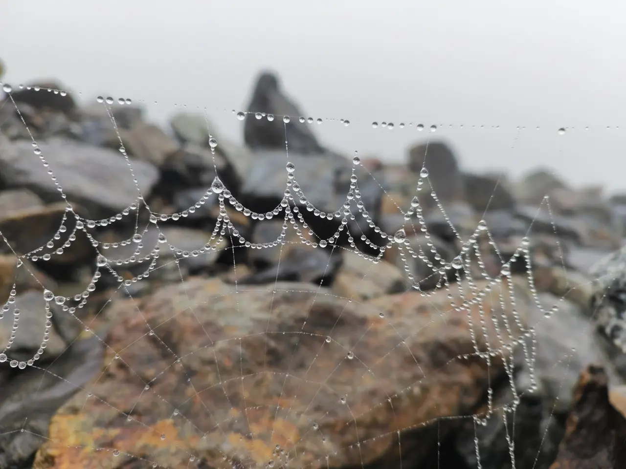 Безенгийская стена, изображение №30